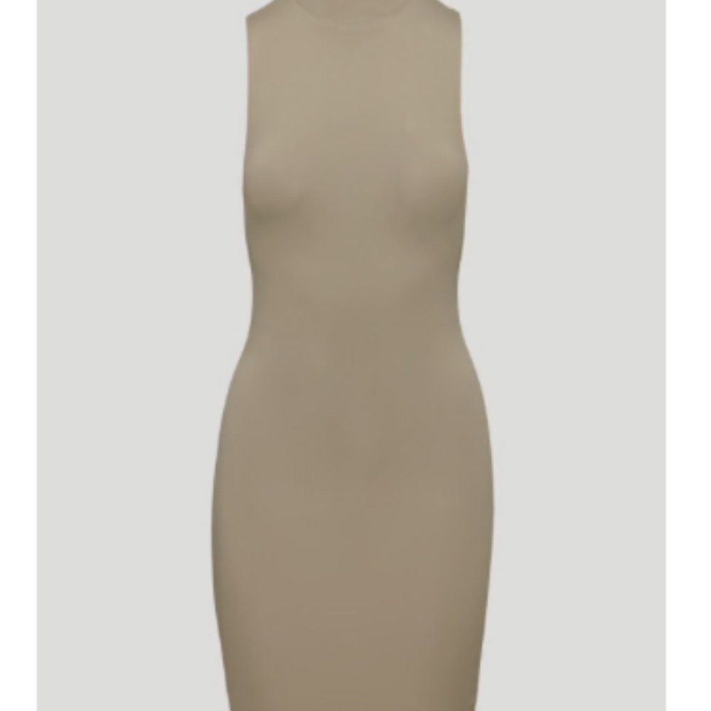 Aritzia Contour Mockneck Dress